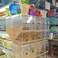 Paradise De Aves Pet Shop ico