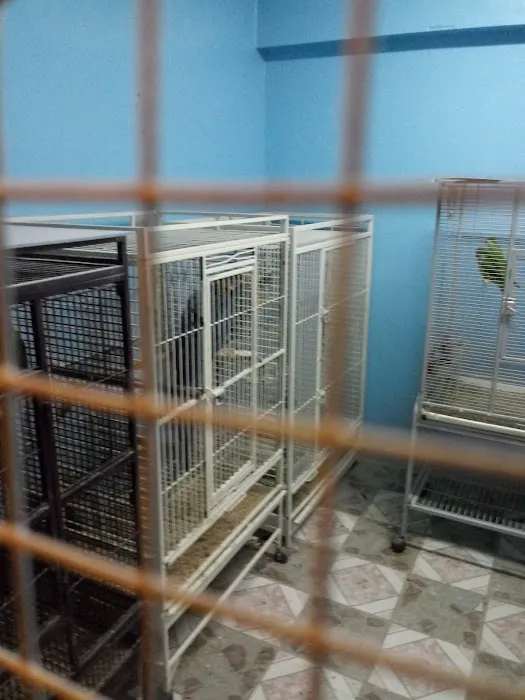 Paradise De Aves Pet Shop Picture 6