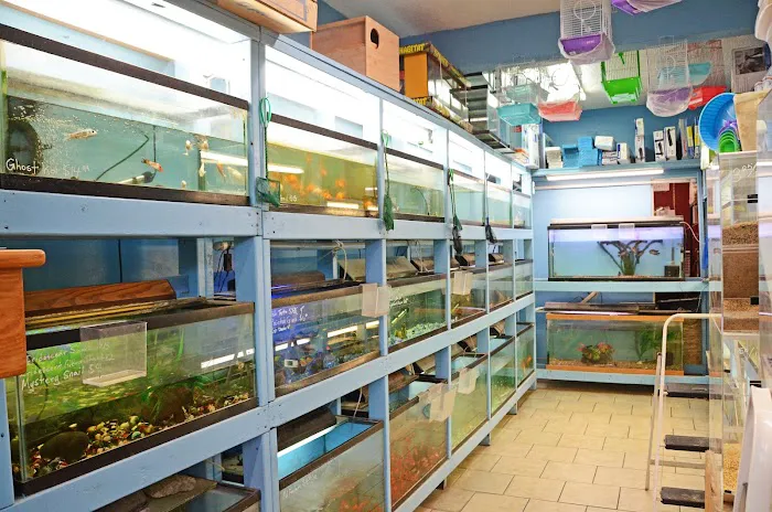 Paradise De Aves Pet Shop Picture 9