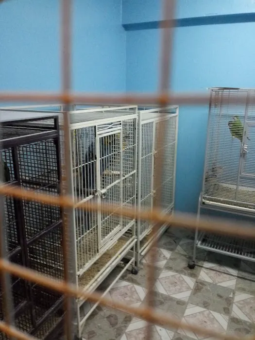 Paradise De Aves Pet Shop Picture 10