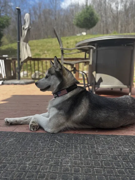 Hillside Veterinary Clinic – Auburn, MA | Central MA Vet Care Picture 2