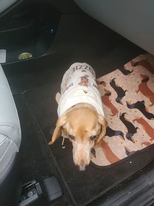 Hillside Veterinary Clinic – Auburn, MA | Central MA Vet Care Picture 6