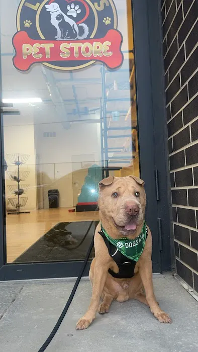 Lucky's Pet Store Picture 1