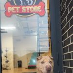 Lucky's Pet Store