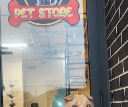 Lucky's Pet Store