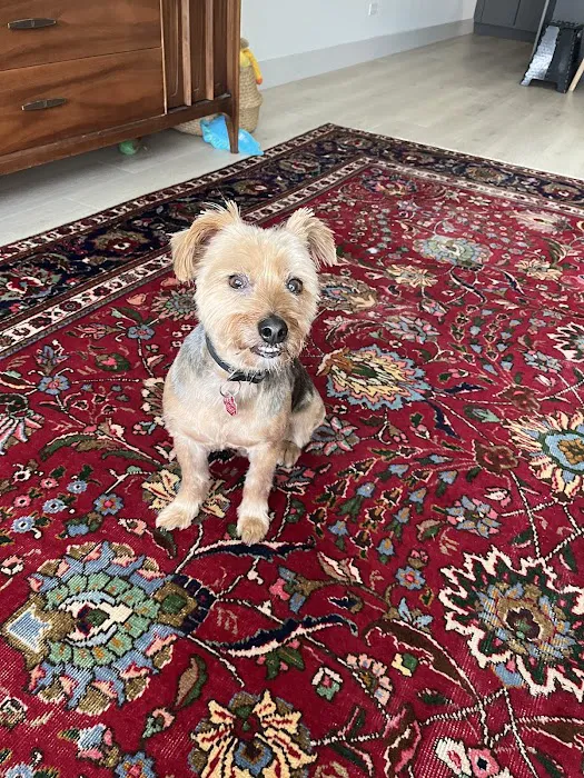 Lucky's Pet Store Picture 2