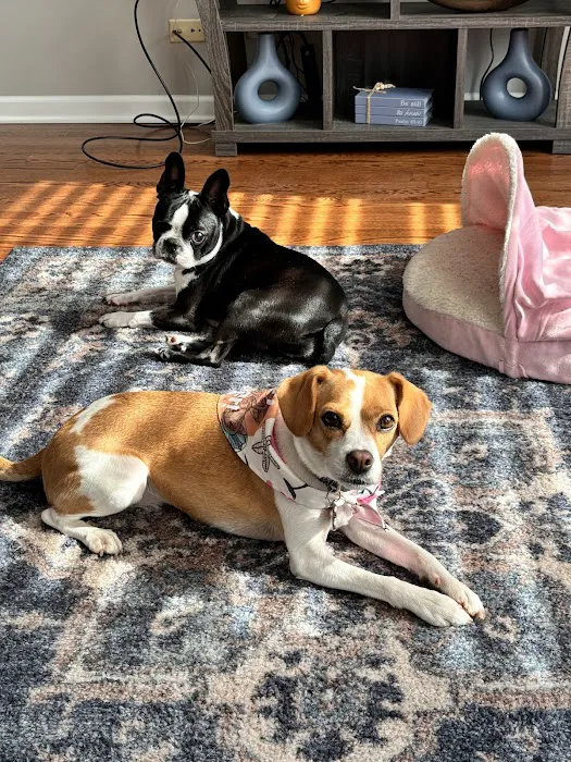 Lucky's Pet Store Picture 5