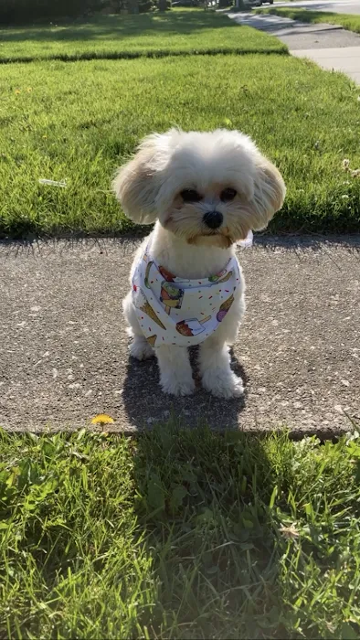 Lucky's Pet Store Picture 9