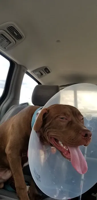 Banfield Pet Hospital Picture 6