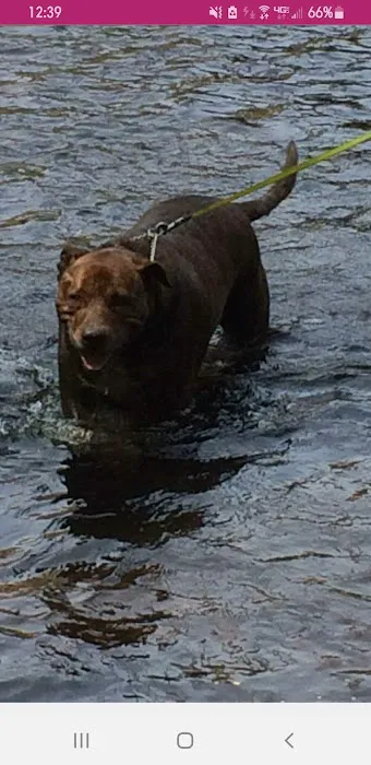 Banfield Pet Hospital Picture 1