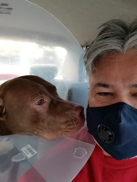 Banfield Pet Hospital Picture 10