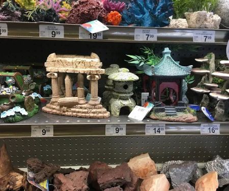 Petco