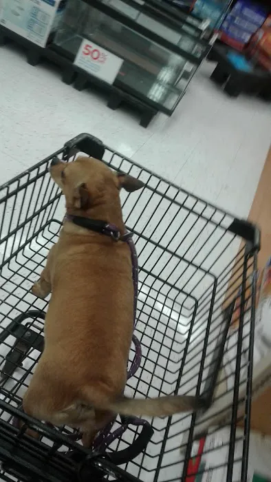 Petco Picture 7