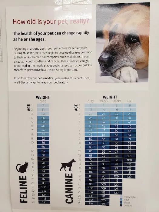 VCA Auburn Animal Hospital Picture 3
