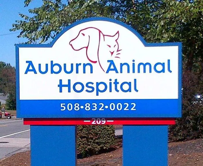 VCA Auburn Animal Hospital Picture 6