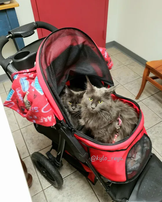 VCA Auburn Animal Hospital Picture 5