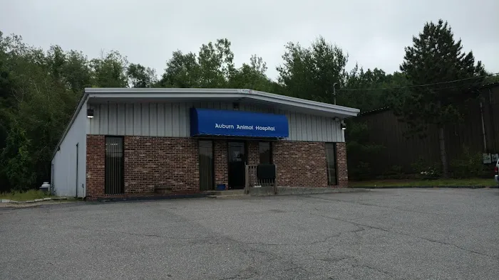 VCA Auburn Animal Hospital Picture 7