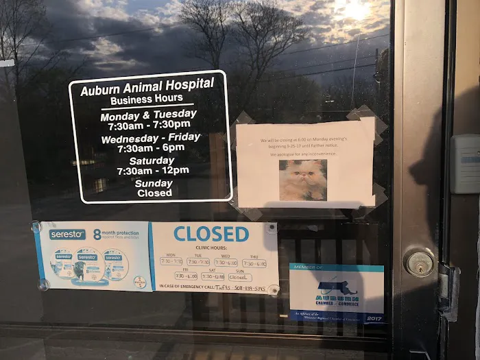 VCA Auburn Animal Hospital Picture 1