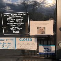 VCA Auburn Animal Hospital ico