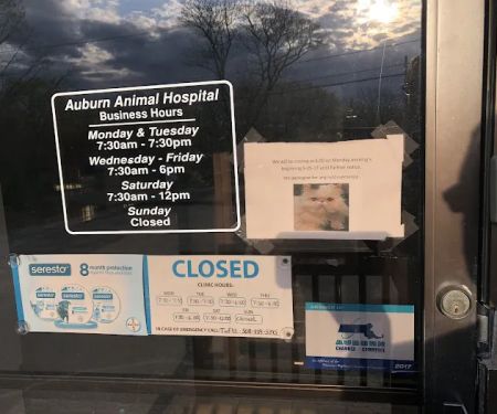 VCA Auburn Animal Hospital