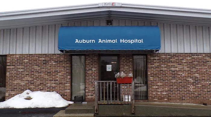 VCA Auburn Animal Hospital Picture 9