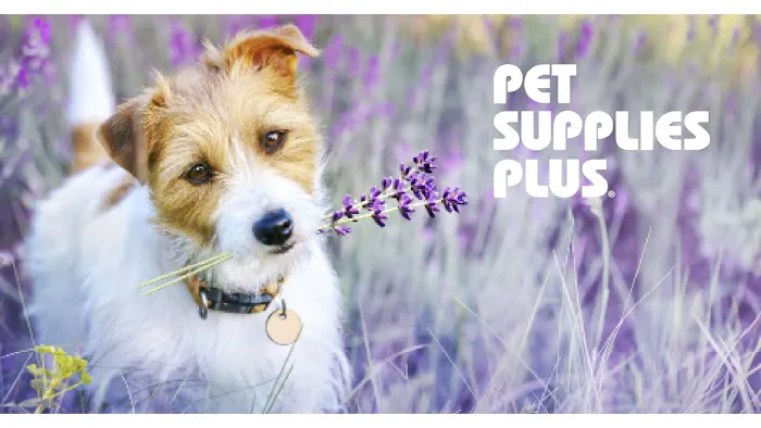 Pet Supplies Plus La Porte Picture 4