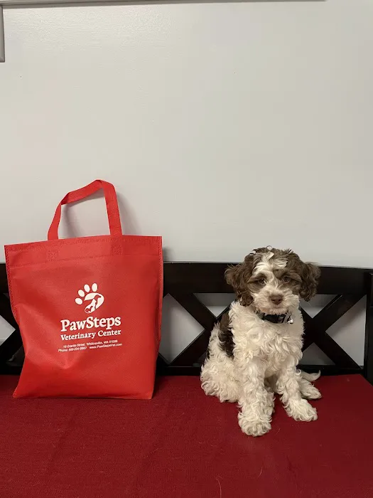 PawSteps Veterinary Center Picture 10