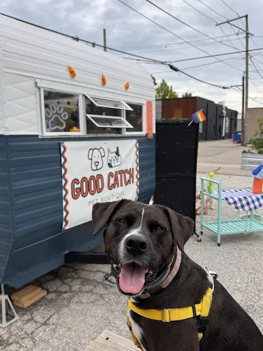 Good Catch Picture 1