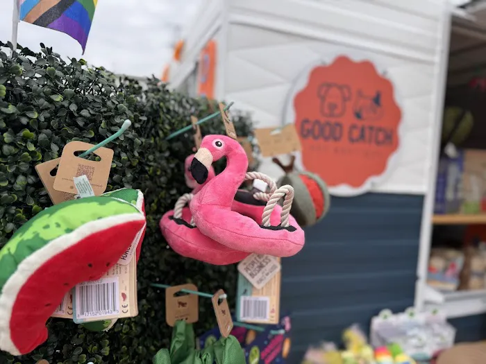 Good Catch Picture 2