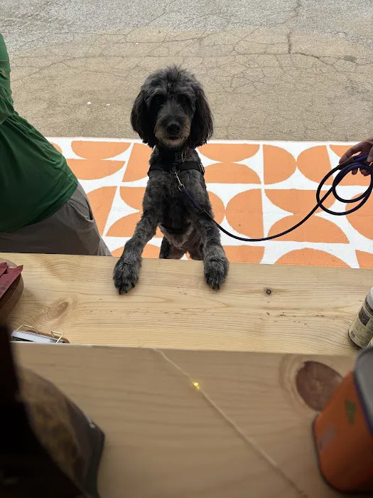 Good Catch Picture 8