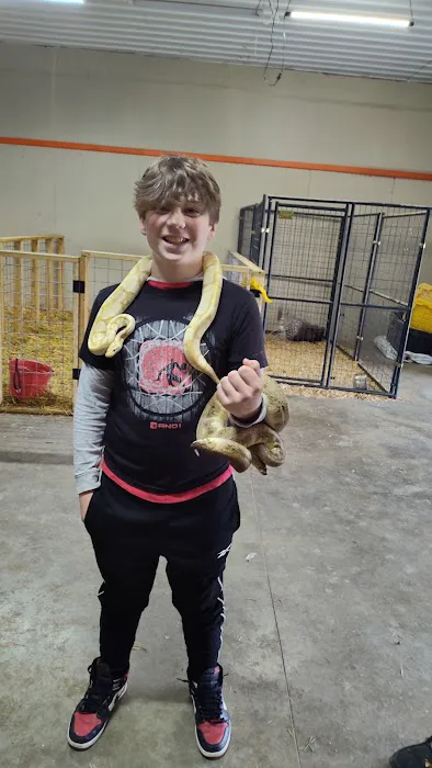 D & M Exotic Pets Picture 1