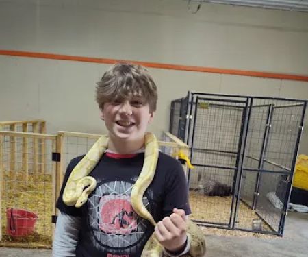 D & M Exotic Pets