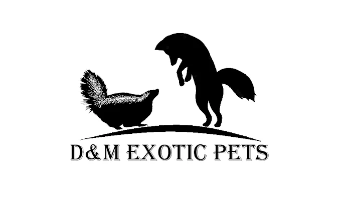 D & M Exotic Pets Picture 4