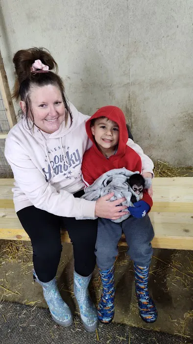 D & M Exotic Pets Picture 2