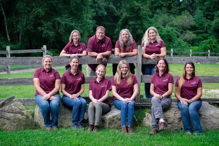 Massachusetts Equine Clinic Picture 3