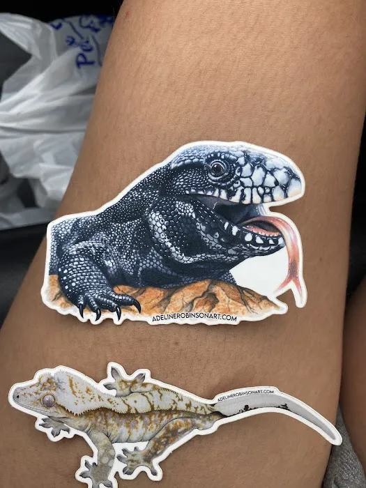 Chicago Reptile House Picture 3