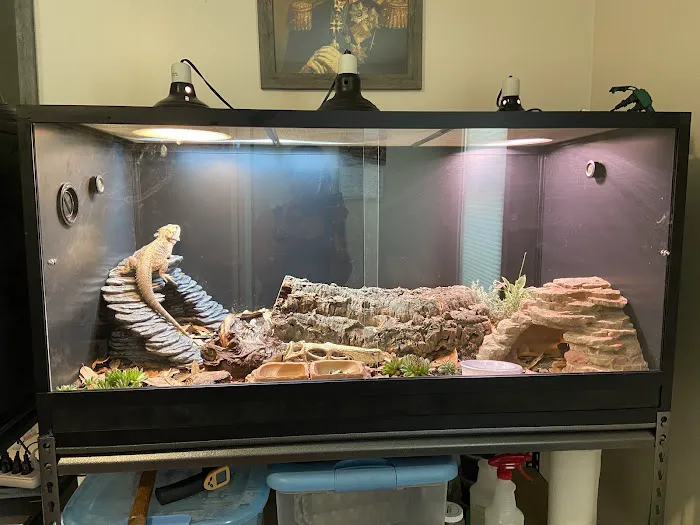 Chicago Reptile House Picture 5