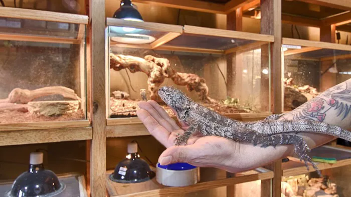 Chicago Reptile House Picture 2