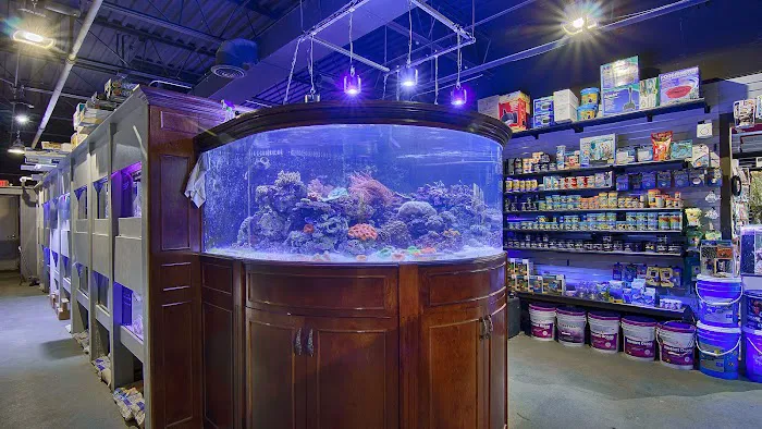 Chicago Reptile House Picture 1