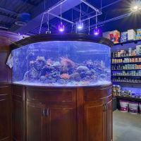 Chicago Reptile House ico