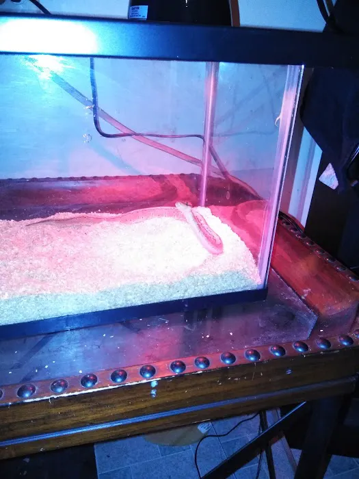 Chicago Reptile House Picture 9