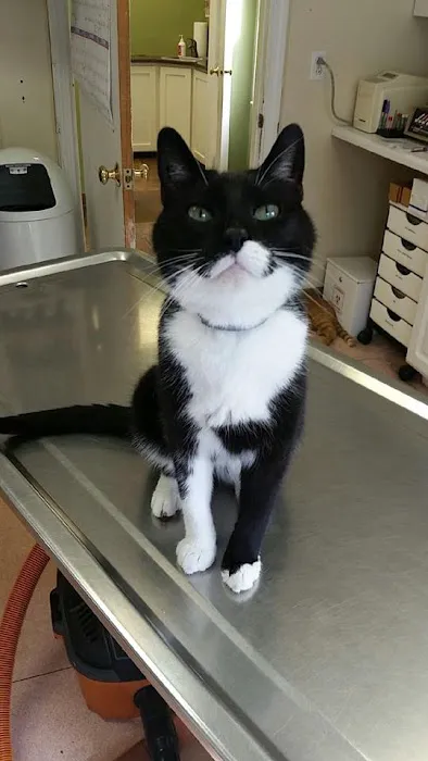 Agape Animal Hospital Picture 7