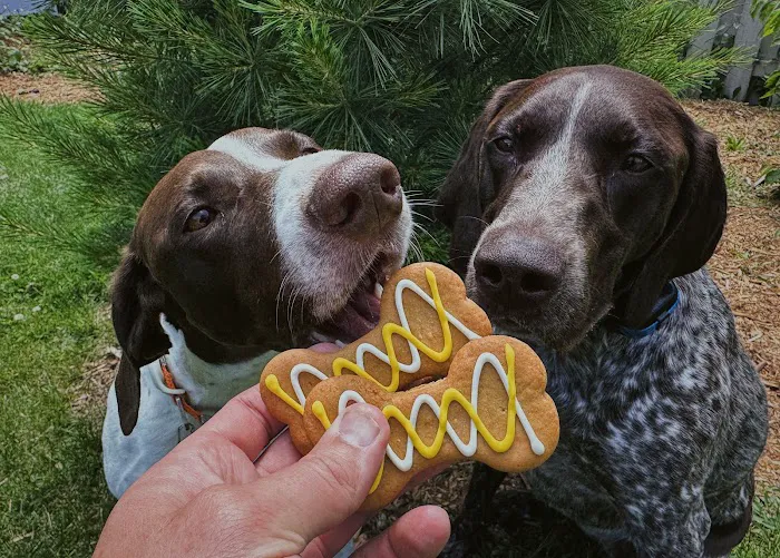 Joy's Best Friends Best Bites Picture 4