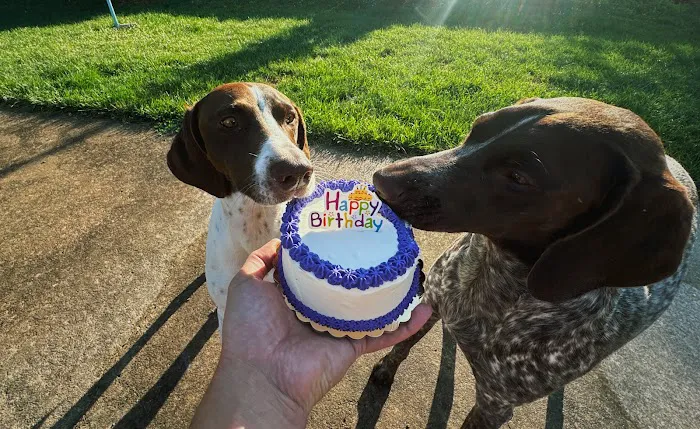Joy's Best Friends Best Bites Picture 1