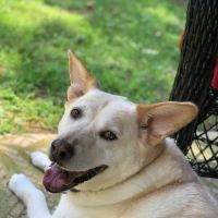 Mendon Animal Clinic ico