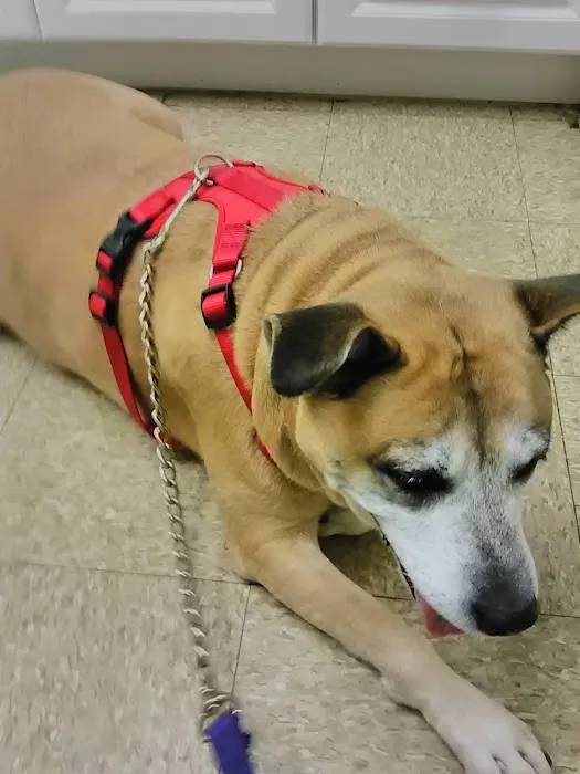 Mendon Animal Clinic Picture 5