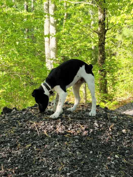 North Smithfield Animal Hospital Picture 6