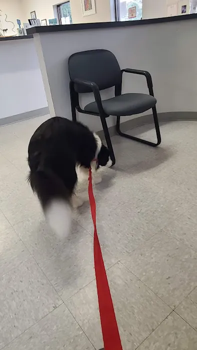 North Smithfield Animal Hospital Picture 7