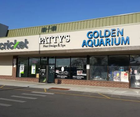 Golden Aquarium