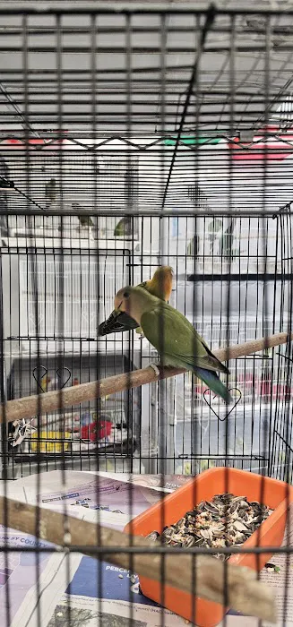 Chicago Pet Store Picture 2